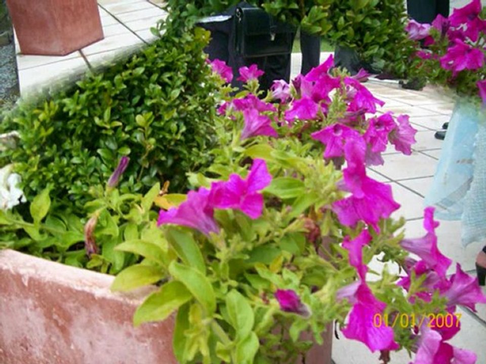 60 ans de mariage de mes parents