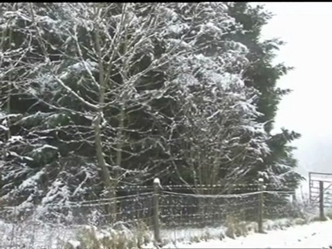 Snow scenes as winter snap hits the UK
