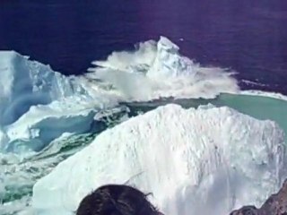 CTC launches new global marketing platform.