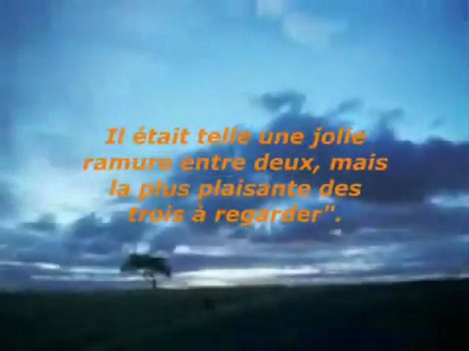 Portait de notre Bien Aimé Prophete saws