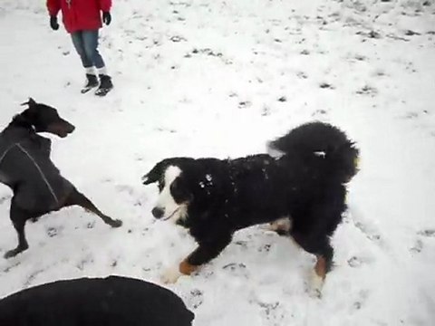 1ère neige hiver 2012