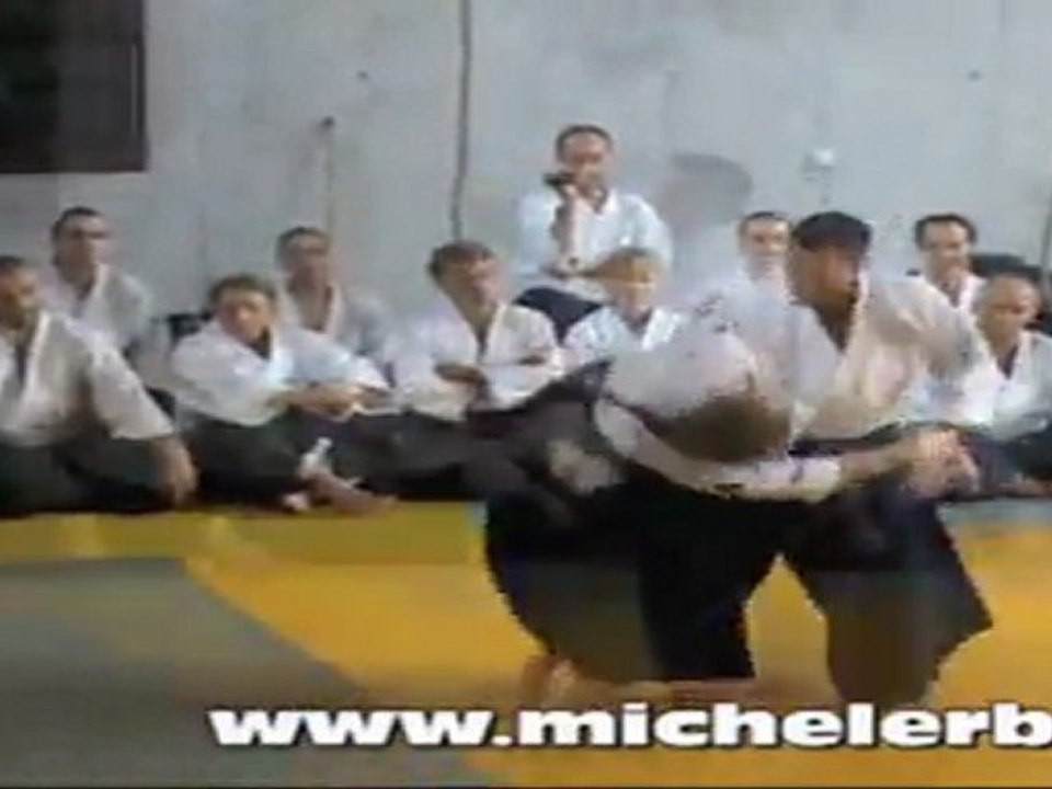 Michel Erb Sensei stage d'été 2010 à Lons le Saunier