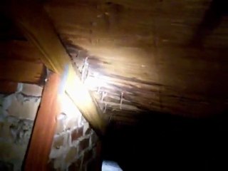 Home Leaking Inspection