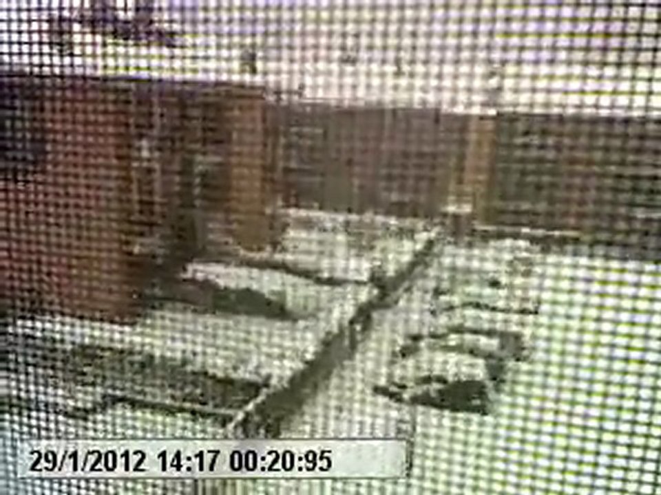 nevicata 2012
