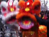 Nouvel an chinois à Lyon: les dragons
