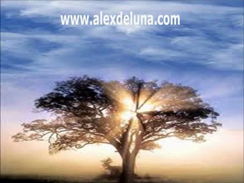 El Negocio Perfecto Parte 3 En Espaol (Robert Kiyosaki)