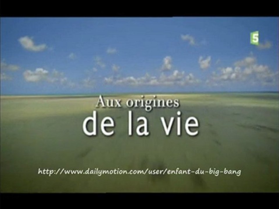 Aux origines de la vie (les premiers organismes)