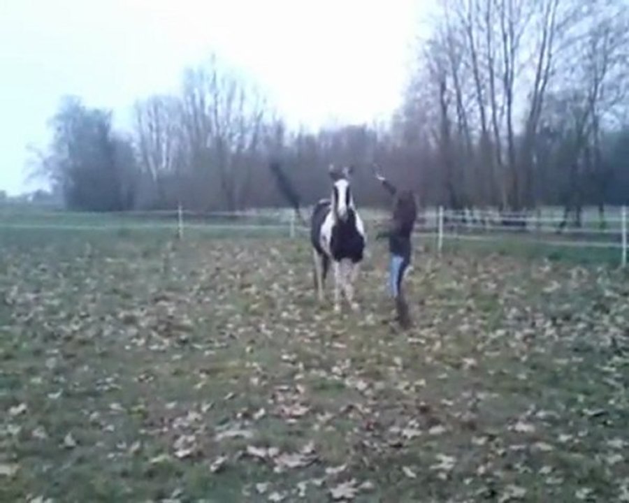 Samedi14janvier2012