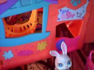 petshop des nouveau lapins partie 1