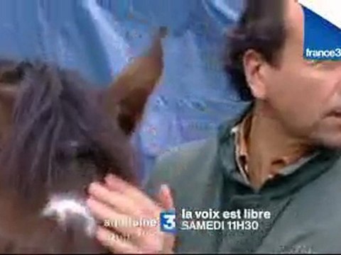 BANDE ANNONCE LA VOIX EST LIBRE - INVITÉ PIERRE DURAND