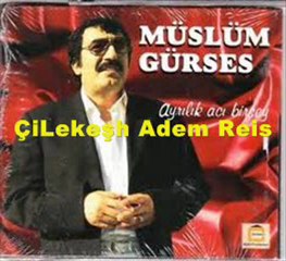 Müslüm Gürses - Güle Güle Git