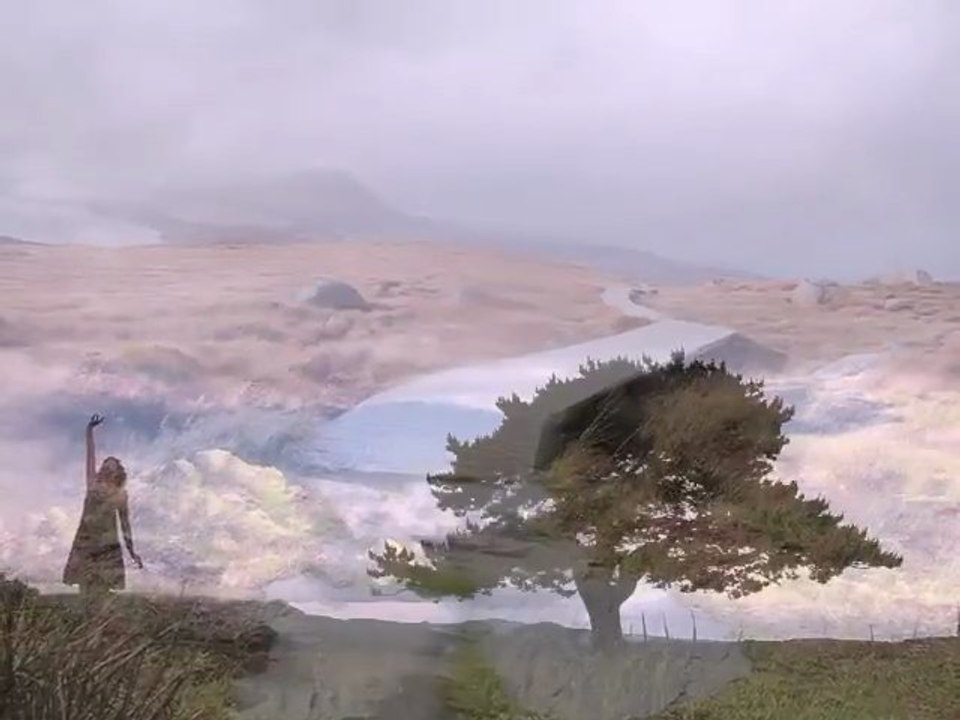 Avalanche - Music : Blackbird Blackbird ( unoficcial video )