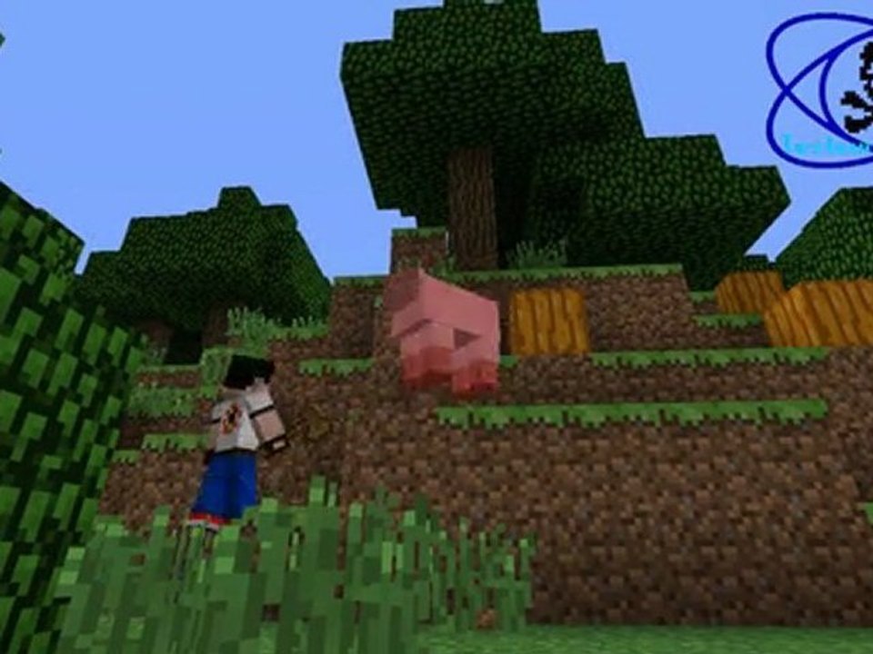 video inutile sur n autre serveur d édiée minecraft