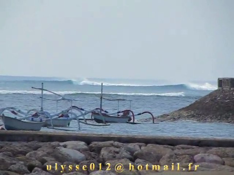 Bali Sanur Reef 26-01-2012