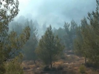 Incendio forestal en Jerusalén
