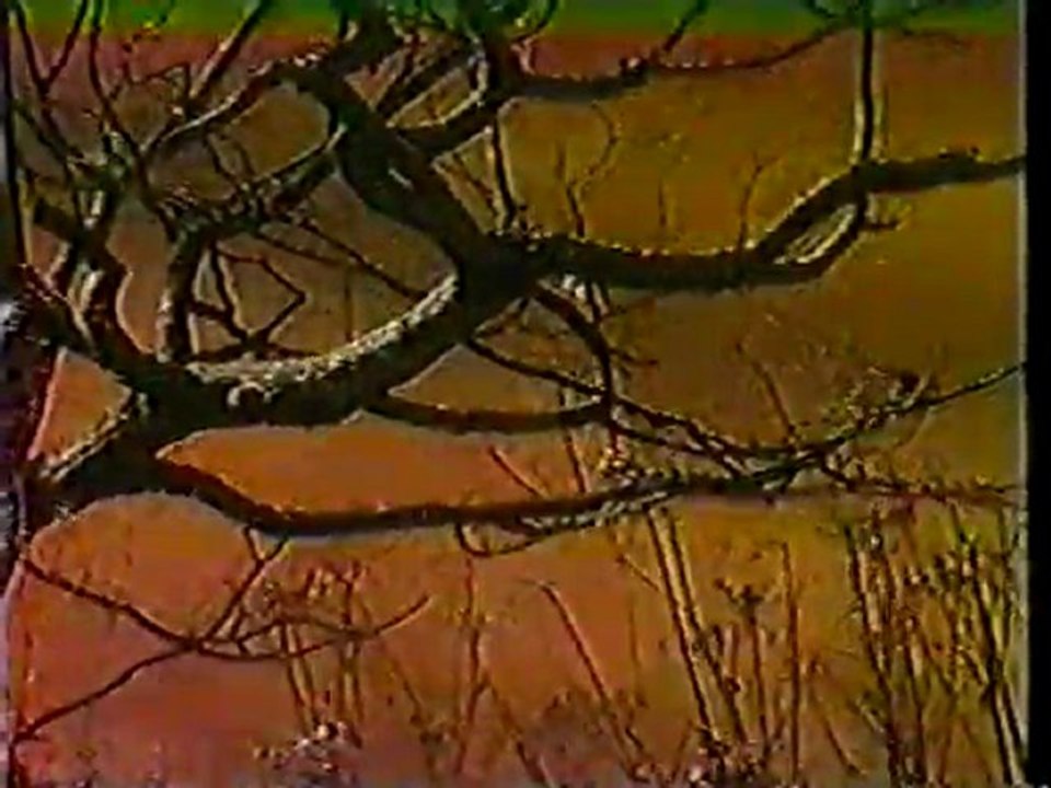 Underground ~ David Bowie
