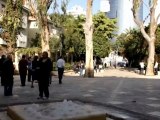 Valoración de árboles en Tel Aviv