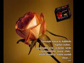 ercan demirel ayrılamam