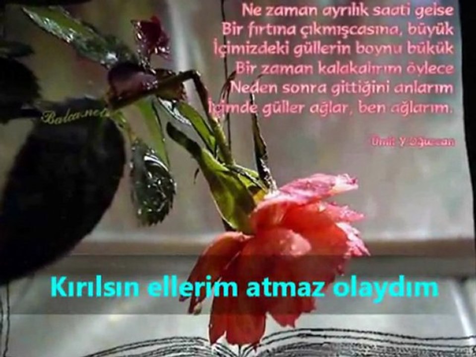 Resmini Atese Attim aydin.bendeniz