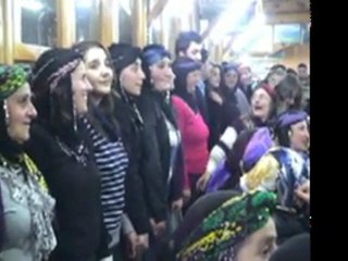 KINA AKŞAMI  SERPİL