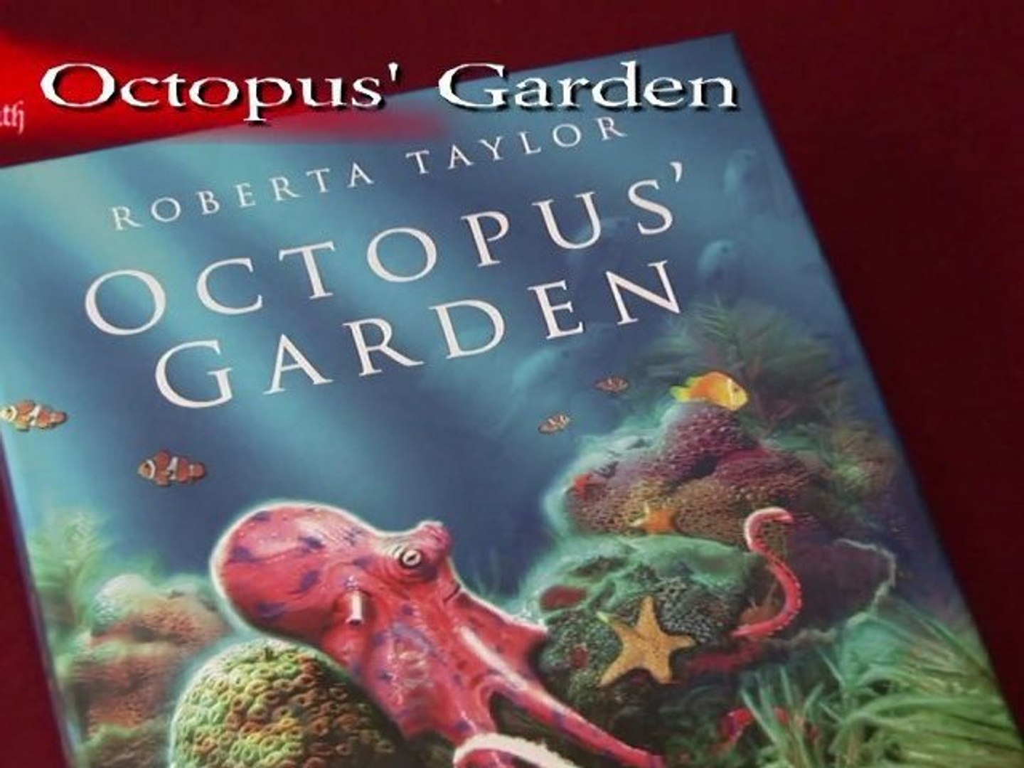 ⁣Octopus Garden Board Game Review