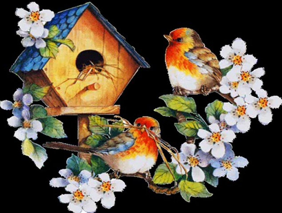 YAVUZ BİNGÖL---NE feryad EDERSİN divane BÜLBÜL...!!!