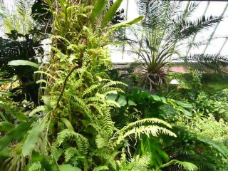 CRUISE (VIKTORIA)-2010 005