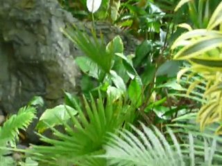 CRUISE (VIKTORIA)-2010 012