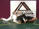 BJJ Coach Indianapolis Jiu Jitsu: Knee up counter with sweep and triangle attack