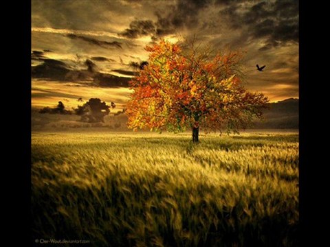 SÜPER 1 ŞİİR )) HARİKA ŞİİRLER TÜRKÜLER @ MEHMET ALİ ARSLAN Videos