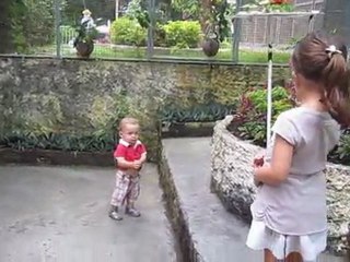 dans la voliere a papillons