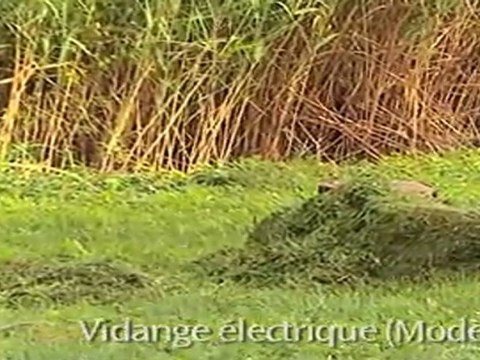 ETESIA Tondeuse Gazon Autoportee Bahia 2