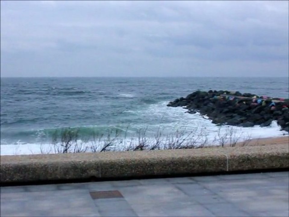 surf report de 09h15