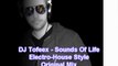 DJ Tofeex-Sounds of life (electro-house Original mix-2012)