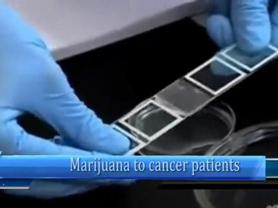 Marijuana to cancer patients