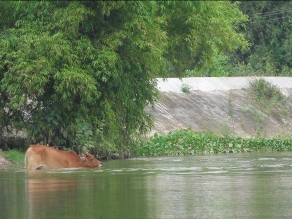 Ninh Binh