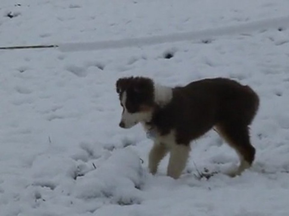 gucci neige