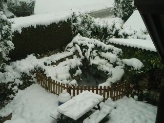 ZOOM0023 (2)neige et bassin..notes d'oiseaux..