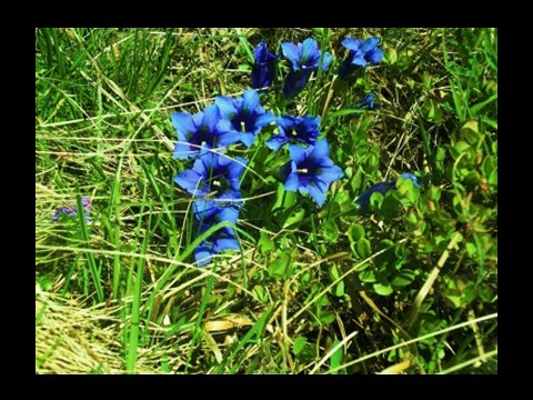 sublimes-paysages-de-parcs-naturels-jackdidier