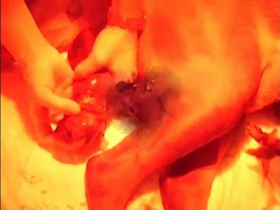 NAISSANCE AU CÂLIN D'ACIER