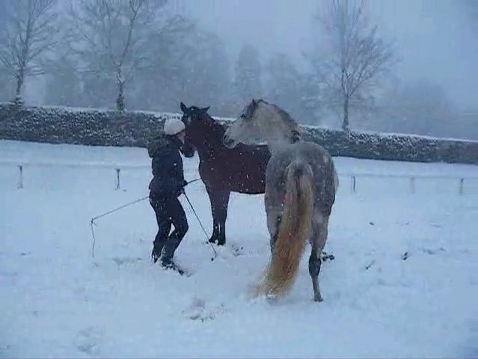 Sous la neige