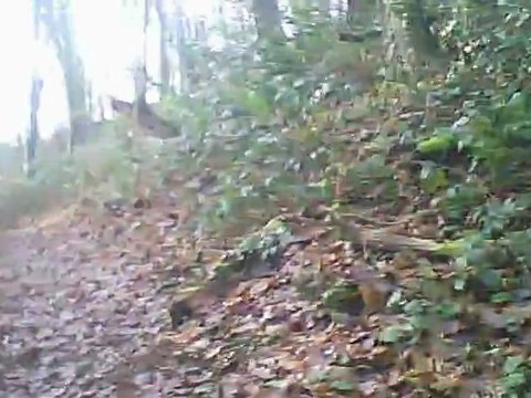 Plérin : nouveau chemin côtes aux roux à kertot