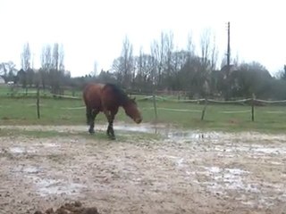 28.01.2012.l.sol.liberte