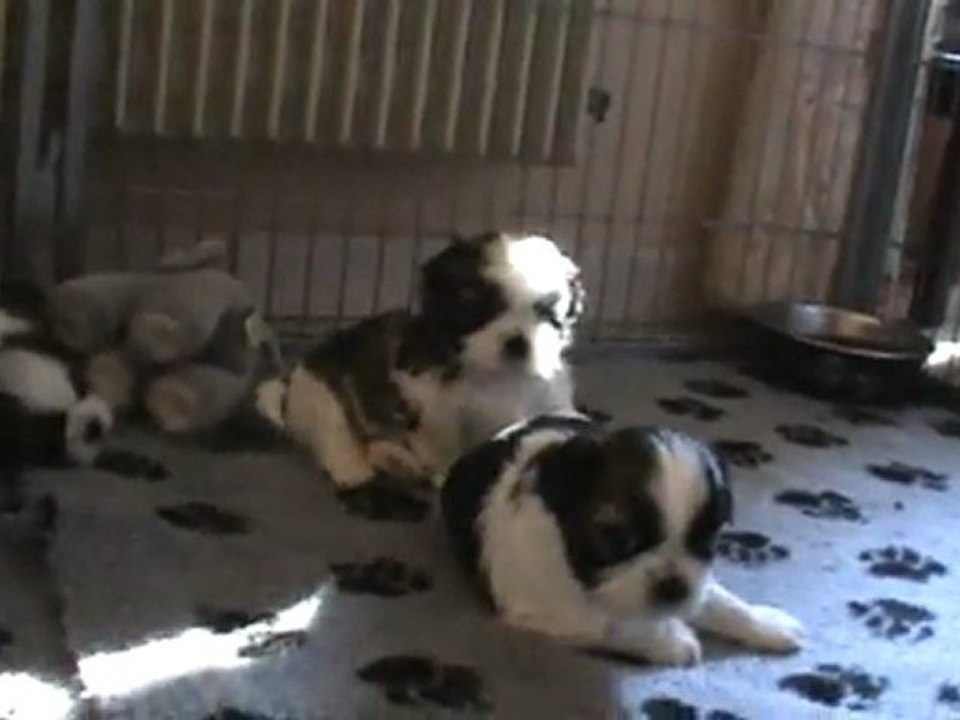 20120131153013