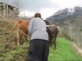 Hüseyin UĞURLU   "BUNDAN SANA NE"