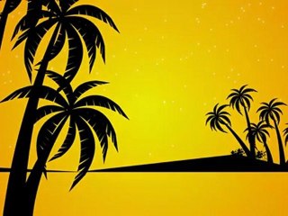 Burn The Floor (DT Megamix 2012)