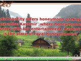 kashmir tours packages(paradisekashmir)