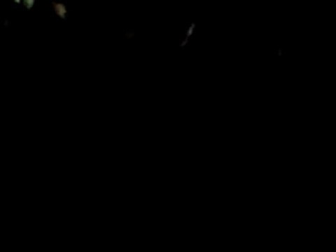 فري برس حلب مسائية أشاوس حي الفردوس 30 1 2012 جـ2