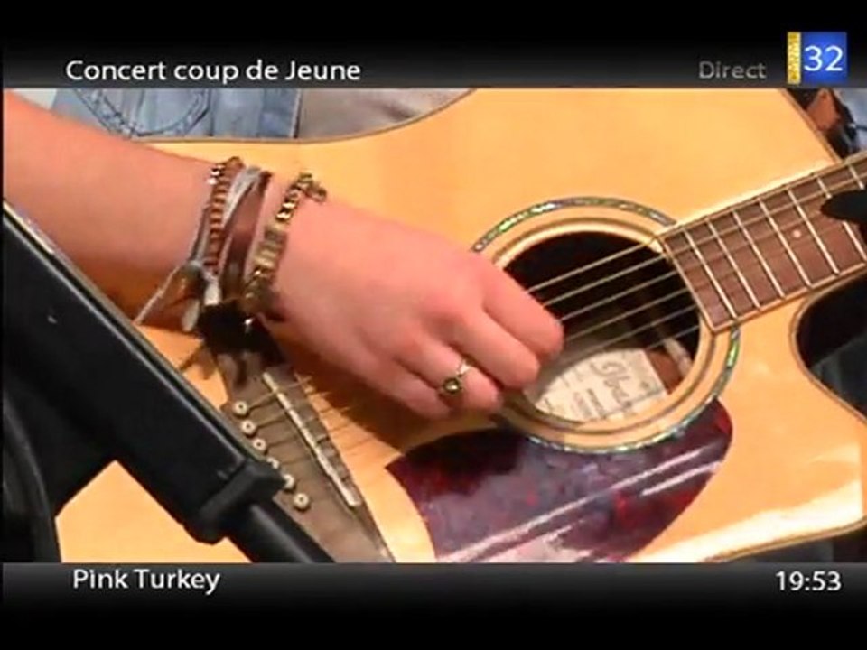 The Pink Turkeys Au Bistro