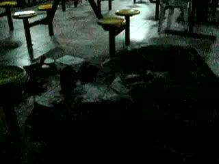 Sleeping adventure babies in action